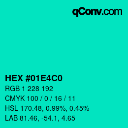 Color code: HEX #01E4C0 | qconv.com