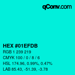 Color code: HEX #01EFDB | qconv.com