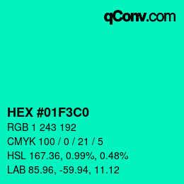 Color code: HEX #01F3C0 | qconv.com