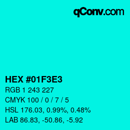 Color code: HEX #01F3E3 | qconv.com