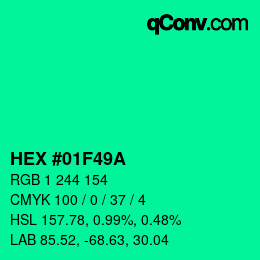 Color code: HEX #01F49A | qconv.com