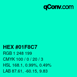 Color code: HEX #01F8C7 | qconv.com