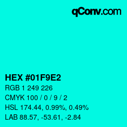 Color code: HEX #01F9E2 | qconv.com