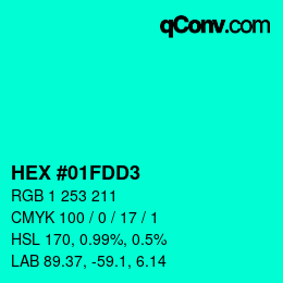 Color code: HEX #01FDD3 | qconv.com