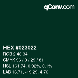 Color code: HEX #023022 | qconv.com