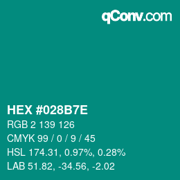 Color code: HEX #028B7E | qconv.com