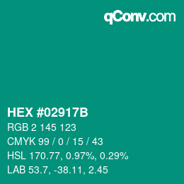 Color code: HEX #02917B | qconv.com