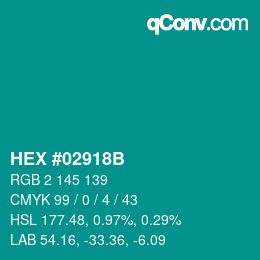 Color code: HEX #02918B | qconv.com