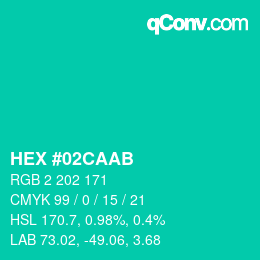 Color code: HEX #02CAAB | qconv.com