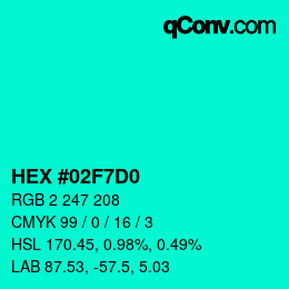 Color code: HEX #02F7D0 | qconv.com
