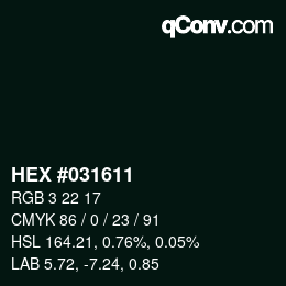 Color code: HEX #031611 | qconv.com