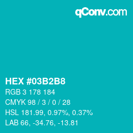 Color code: HEX #03B2B8 | qconv.com