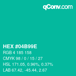 Color code: HEX #04B99E | qconv.com