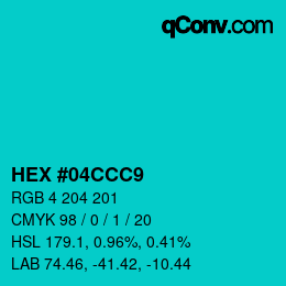 Color code: HEX #04CCC9 | qconv.com