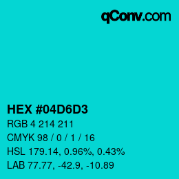 Color code: HEX #04D6D3 | qconv.com