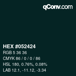 Color code: HEX #052424 | qconv.com