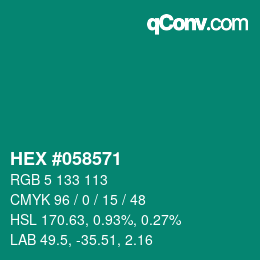 Color code: HEX #058571 | qconv.com