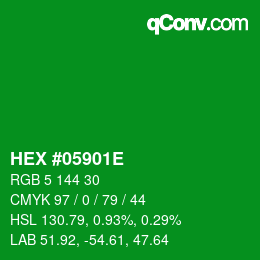カラーコード: HEX #05901E | qconv.com