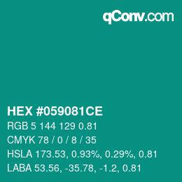 Color code: HEX #059081CE | qconv.com
