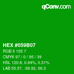 Farbcode: HEX #059B07 | qconv.com