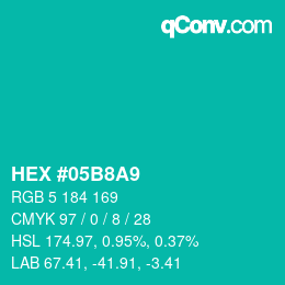 Color code: HEX #05B8A9 | qconv.com