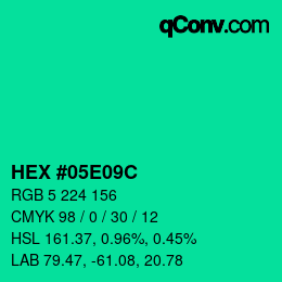 Color code: HEX #05E09C | qconv.com