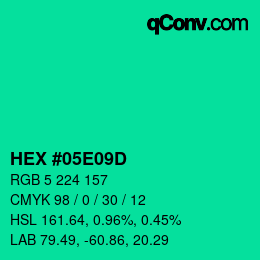 Color code: HEX #05E09D | qconv.com
