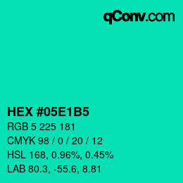 Color code: HEX #05E1B5 | qconv.com