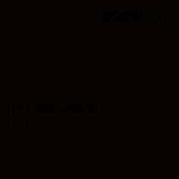 Color code: HEX #06030000 | qconv.com