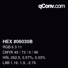 Color code: HEX #06030B | qconv.com