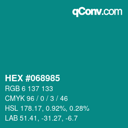 Color code: HEX #068985 | qconv.com