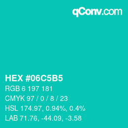 Color code: HEX #06C5B5 | qconv.com