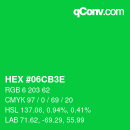 Color code: HEX #06CB3E | qconv.com