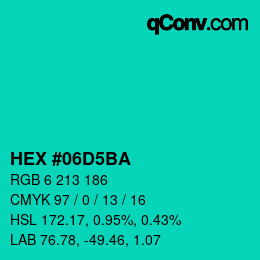 Color code: HEX #06D5BA | qconv.com