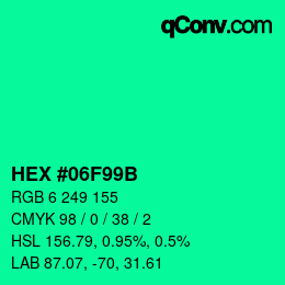 Color code: HEX #06F99B | qconv.com