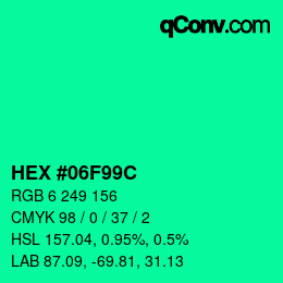 Color code: HEX #06F99C | qconv.com