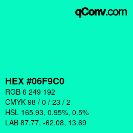 Color code: HEX #06F9C0 | qconv.com