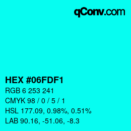 Color code: HEX #06FDF1 | qconv.com