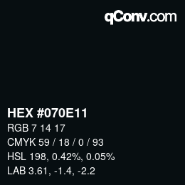 颜色代码: HEX #070E11 | qconv.com