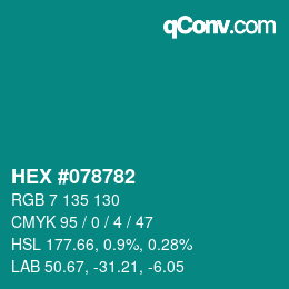 Color code: HEX #078782 | qconv.com