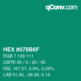Color code: HEX #078B6F | qconv.com