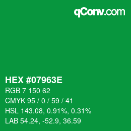 Color code: HEX #07963E | qconv.com