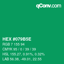 Color code: HEX #079B5E | qconv.com