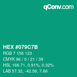 Color code: HEX #079C7B | qconv.com