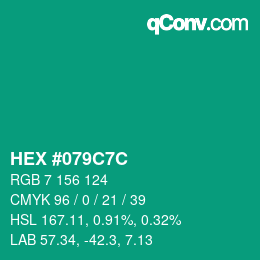 Color code: HEX #079C7C | qconv.com