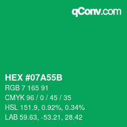 Color code: HEX #07A55B | qconv.com