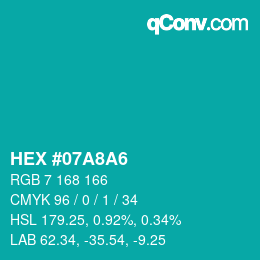 Color code: HEX #07A8A6 | qconv.com