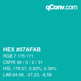 Color code: HEX #07AFAB | qconv.com