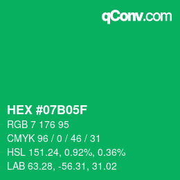 Color code: HEX #07B05F | qconv.com