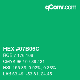 Color code: HEX #07B06C | qconv.com
